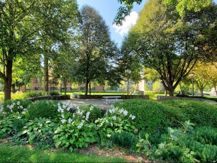 Much Ado About Nothing