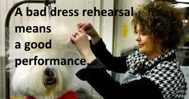 Lady grooming a dog with bad dress rehearsal quote